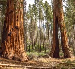 147 - orest bathing - KW Autumn 2017_3292_credit YC-Keith Walklet